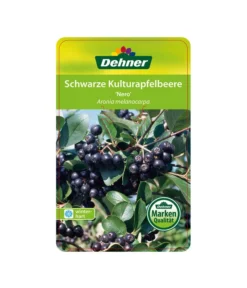 Apfelbeere, Aronia 'Nero' 10 Apfelbeere, Aronia 'Nero' -Progarden Pflanzen Verkäufe 00000000 Aronia melanocarpa Nero 2016 1