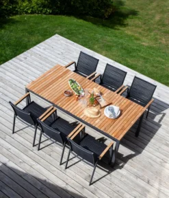 Cinas Stapelstuhl Mood Extreme -Progarden Pflanzen Verkäufe 2011765 WE MO 003 StapelstuhlMoodExtreme