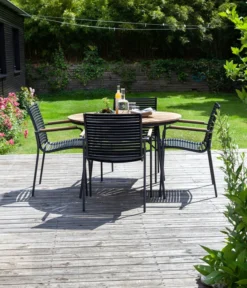 Cinas Stapelstuhl Mood Classic -Progarden Pflanzen Verkäufe 2011872 WE MO 004 StapelstuhlMoodclassic