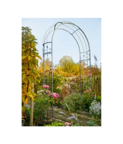Dehner Metall-Rosenbogen Alina, Ca. B132/H233/T38 Cm -Progarden Pflanzen Verkäufe 2379659 WE MO 001 RosenbogenAlina