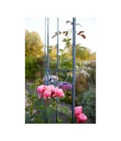 Dehner Metall-Rosenbogen Alina, Ca. B132/H233/T38 Cm -Progarden Pflanzen Verkäufe 2379659 WE MO 002 RosenbogenAlina