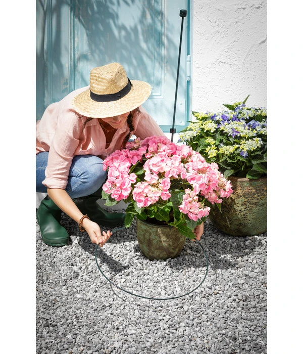 Dehner Stahl-Bodenstab Standard 2 Dehner Stahl-Bodenstab Standard – Bild 2