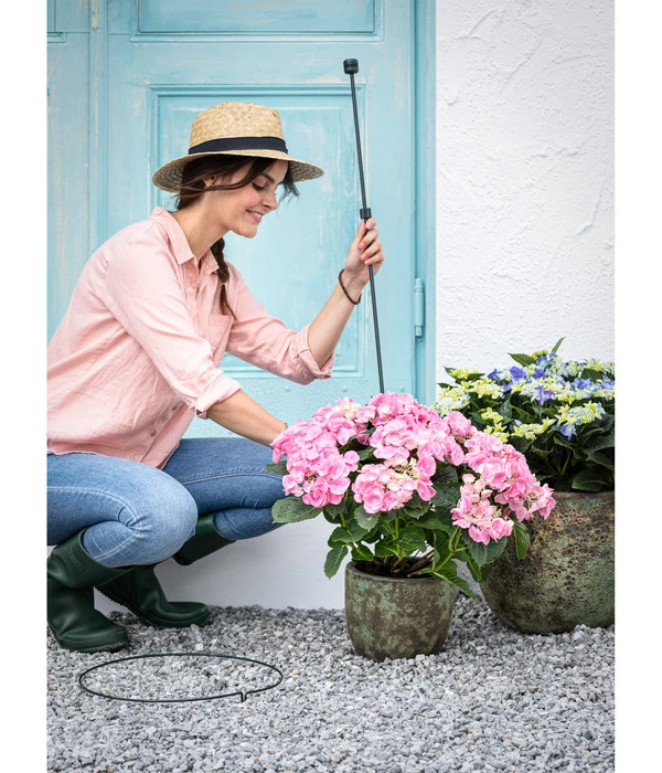 Dehner Stahl-Bodenstab Standard 4 Dehner Stahl-Bodenstab Standard – Bild 4