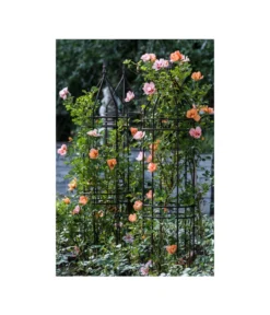 Dehner Premium Obelisk Odin -Progarden Pflanzen Verkäufe 2480069 2480093 2480119 WE MO 006 DehnerPremiumObeliskOdinRankhilfe