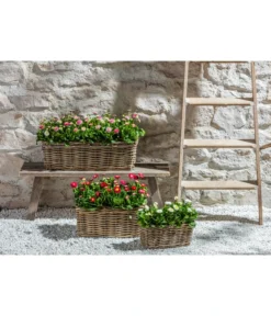 Van Der Leeden Rattan-Pflanzkasten, Graubraun -Progarden Pflanzen Verkäufe 3692761 3692548 3692506 WE MO 013 RattanPflanzkastenbraun