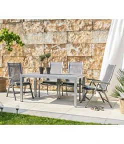 Dehner Klappsessel Chicago, Hochlehner -Progarden Pflanzen Verkäufe 4210274 WE MO 001 DehnerStapelstuhlChicago