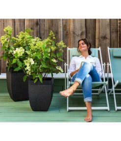 Dehner Strandstuhl Aruba -Progarden Pflanzen Verkäufe 4418422 WE MO 002 StrandstuhlArubaNeu