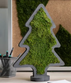 StyleGREEN Weihnachtsbaum Aus Waldmoos, Ca. B27/H37/T2 Cm -Progarden Pflanzen Verkäufe 6429971 WE MO 002 MoosWeihnachtsbaumNoel37x27cmStylegreen