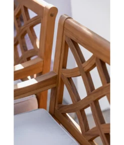 Dehner Gartensessel Savona -Progarden Pflanzen Verkäufe 6670582 WE DE 004 StuhlSavona