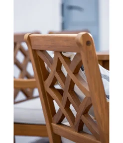 Dehner Gartensessel Savona -Progarden Pflanzen Verkäufe 6670582 WE DE 005 StuhlSavona