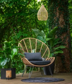 Dehner Geflechtsessel Venezia -Progarden Pflanzen Verkäufe 6701650 WE MO 002 DehnerGeflechtsesselVenezia