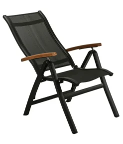 Dehner Klappsessel Chicago Wood 12 Dehner Klappsessel Chicago Wood -Progarden Pflanzen Verkäufe 6701817 WE FS 003 KlappstuhlChicagoWoodNeu