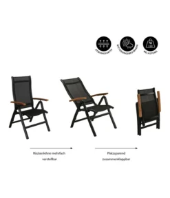 Dehner Klappsessel Chicago Wood 15 Dehner Klappsessel Chicago Wood -Progarden Pflanzen Verkäufe 6701817 WE IG 001 KLAPPSESSELCHICAGOWOOD