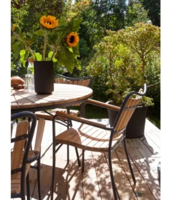 Cinas Stapelstuhl Ellen -Progarden Pflanzen Verkäufe 6843569 WE MO 002 EllenArmlehnstuhl