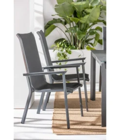 Dehner Stapelstuhl Cleveland, Dunkelgrau 9 Dehner Stapelstuhl Cleveland, Dunkelgrau -Progarden Pflanzen Verkäufe 6894133 WE MO 001 StapelstuhlClevelandGrau