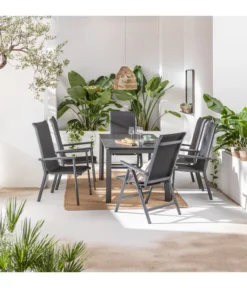 Dehner Klappsessel Cleveland, Dunkelgrau -Progarden Pflanzen Verkäufe 6895379 6894133 6894141 WE MO 001 StapelstuhlClevelandGrau