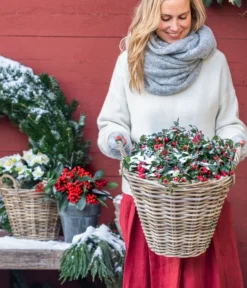 Rote Teppichbeere -Progarden Pflanzen Verkäufe 7192941 WE MO 001 RoteTeppichbeere