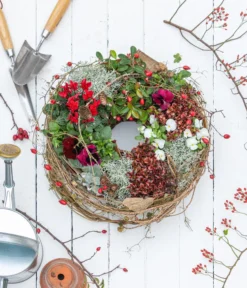 Rote Teppichbeere -Progarden Pflanzen Verkäufe 7192941 WE MO 001 RoteTeppichbeereGaultheria