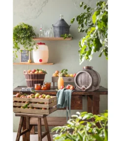 Dehner Gartenkorb -Progarden Pflanzen Verkäufe 745141 482893 359026 WE MO 001 Gartenkorb