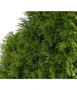 3 Meter Lebensbaum 'Smaragd', 6 X Ca. 150-175 Cm -Progarden Pflanzen Verkäufe 7513534 WE DE 001 ThujaLebensbaumOccidentalisSmaragd20LDehnerExpressHerzig