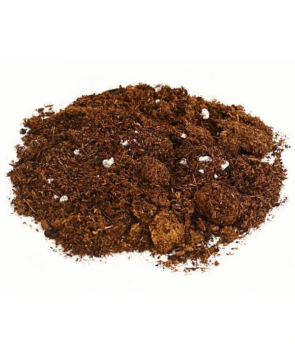 Karnivoren-Erde 2 Karnivoren-Erde – Bild 2