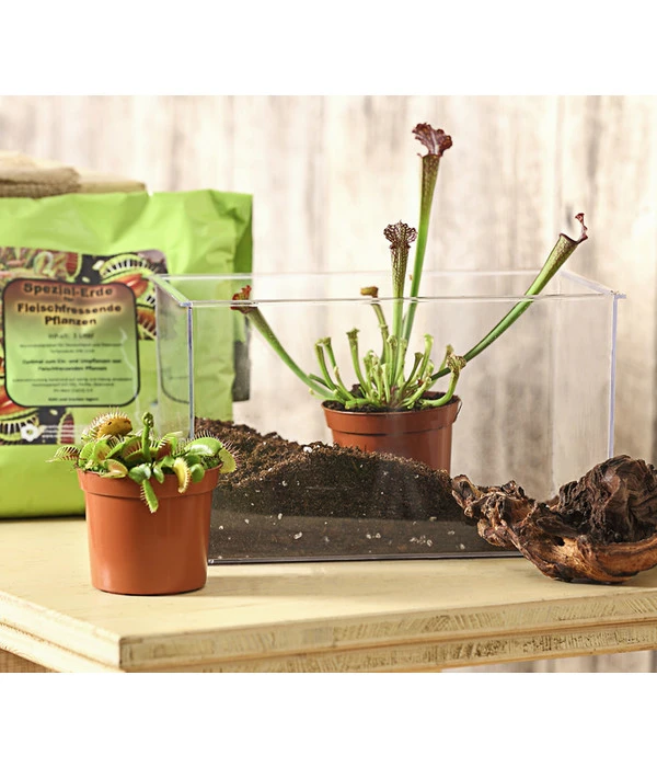 Karnivoren-Erde 3 Karnivoren-Erde – Bild 3