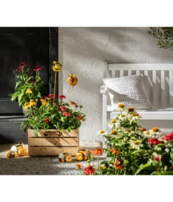 Sonnenhut -Progarden Pflanzen Verkäufe 8012619 WE MO 001 EchinaceaPurpurea3LSonnenhutThemaBieneEchinaceamitPeople GC10 2020 01