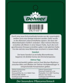 Schmetterlingsorchidee - Phalaenopsis Cultivars 'Blue Wonder', Kaskade -Progarden Pflanzen Verkäufe 8254815 PhalaenopsisBlueWonder Etikett 2