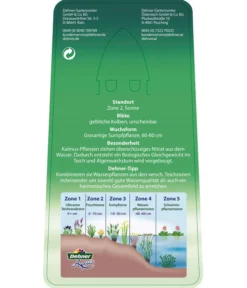 Dehner Kalmus -Progarden Pflanzen Verkäufe 8310104 KalmusAcorusCalamus Etikett 2