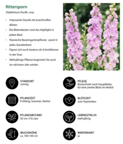 Rittersporn, Verschiedene Farben 24 Rittersporn, Verschiedene Farben -Progarden Pflanzen Verkäufe 8352759 WE IG 001 Rittersporn