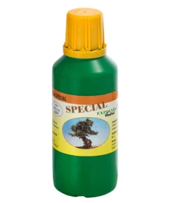 Bonsai Chinesischer Feigenbaum - Ficus Retusa, Anfänger-Set, 10 Jahre -Progarden Pflanzen Verkäufe 8561573 WE FS 003 DuengerSetBonsai