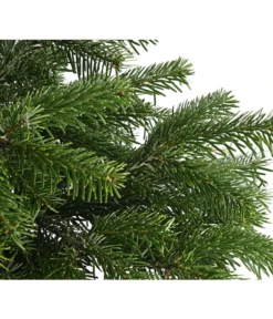 Nordmann-Tanne, Ca. 60-80 Cm, Im Topf Gewachsen 7 Nordmann-Tanne, Ca. 60-80 Cm, Im Topf Gewachsen -Progarden Pflanzen Verkäufe 8995763 WE DE 003 AbiesNordmannianaNordmanntanne60 80DehnerExpressHerzig