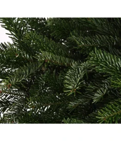 Nordmann-Tanne, Ca. 80-100 Cm, Im Topf Gewachsen 5 Nordmann-Tanne, Ca. 80-100 Cm, Im Topf Gewachsen -Progarden Pflanzen Verkäufe 8995938 WE DE 003 AbiesNordmanniananNordmanntanne80 100DehnerExpressHerzig