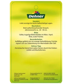 Kornelkirsche - Cornus Mas 11 Kornelkirsche - Cornus Mas -Progarden Pflanzen Verkäufe KornelkirscheCornusmas Etikett 2